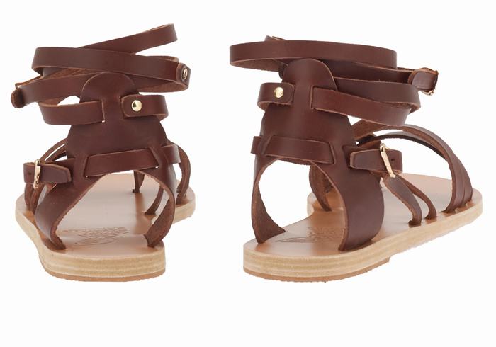 Sandales De Gladiateur Ancient Greek Sandals Satira Leather   | TSQ-5372542